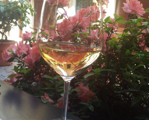 Vino