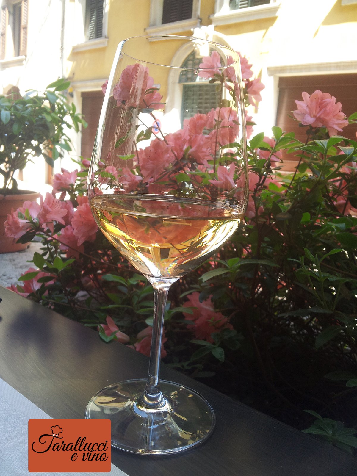 Vino