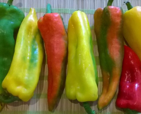 peperoni, fantasia di colori