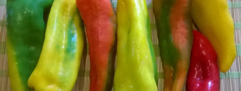 peperoni, fantasia di colori
