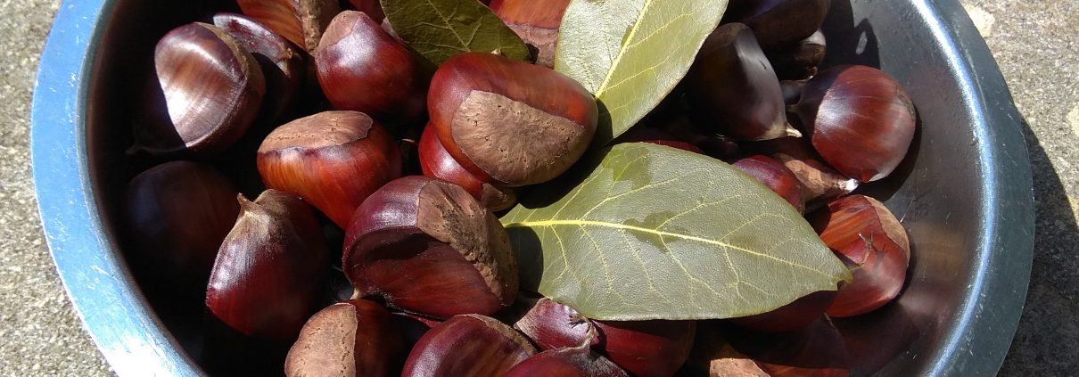 Castagne bollite