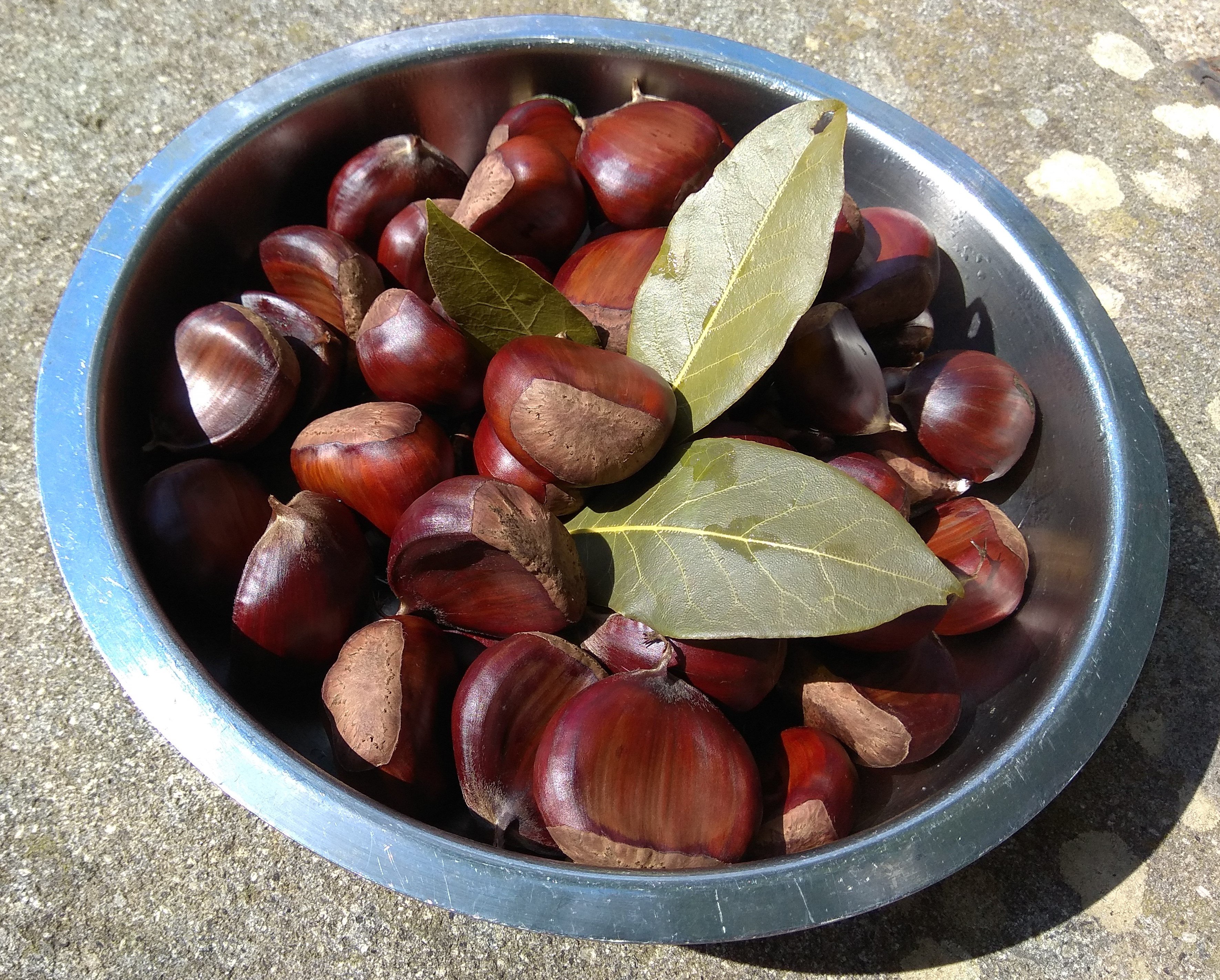 Castagne bollite
