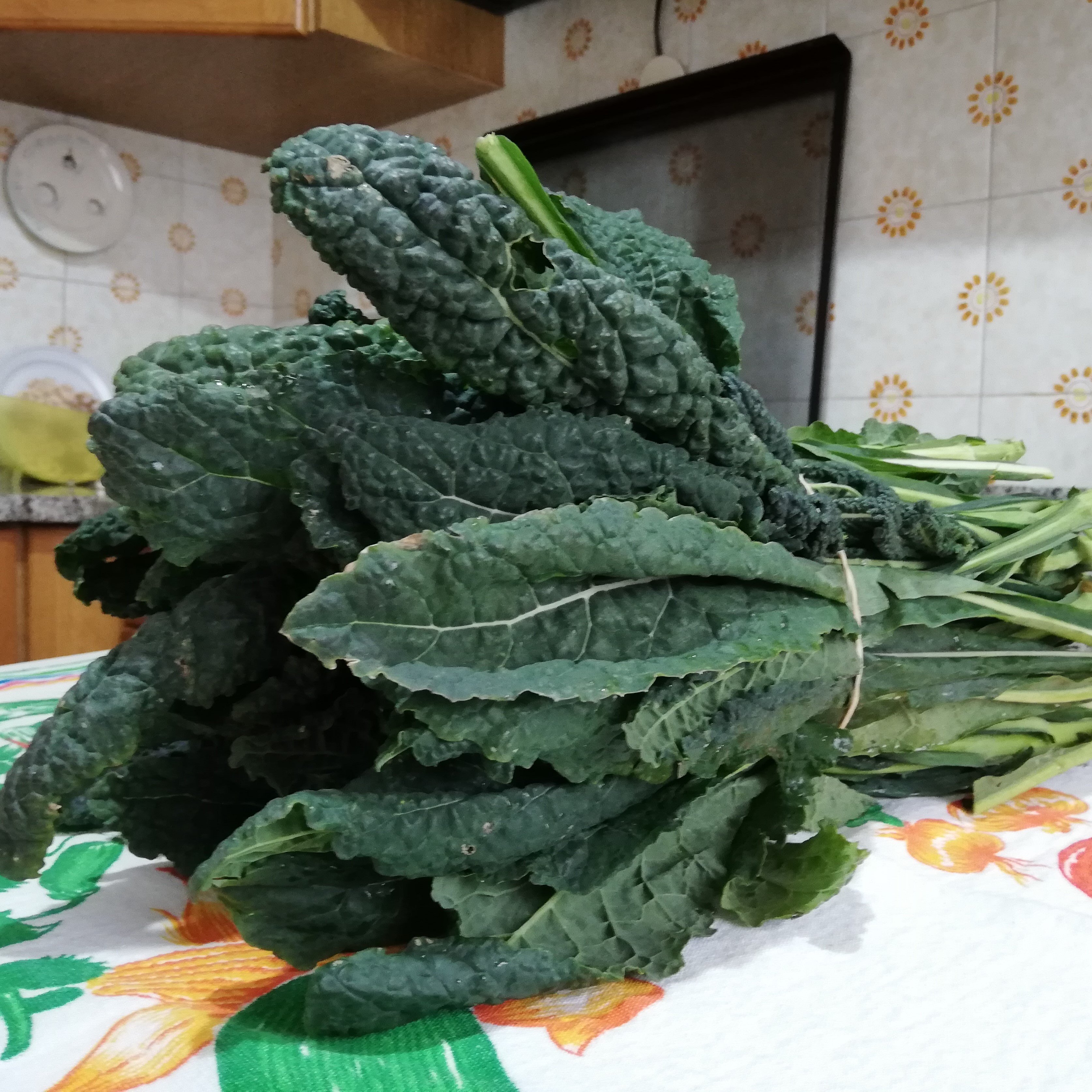 Cavoletti