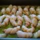 -involtini di gamberi e sogliola