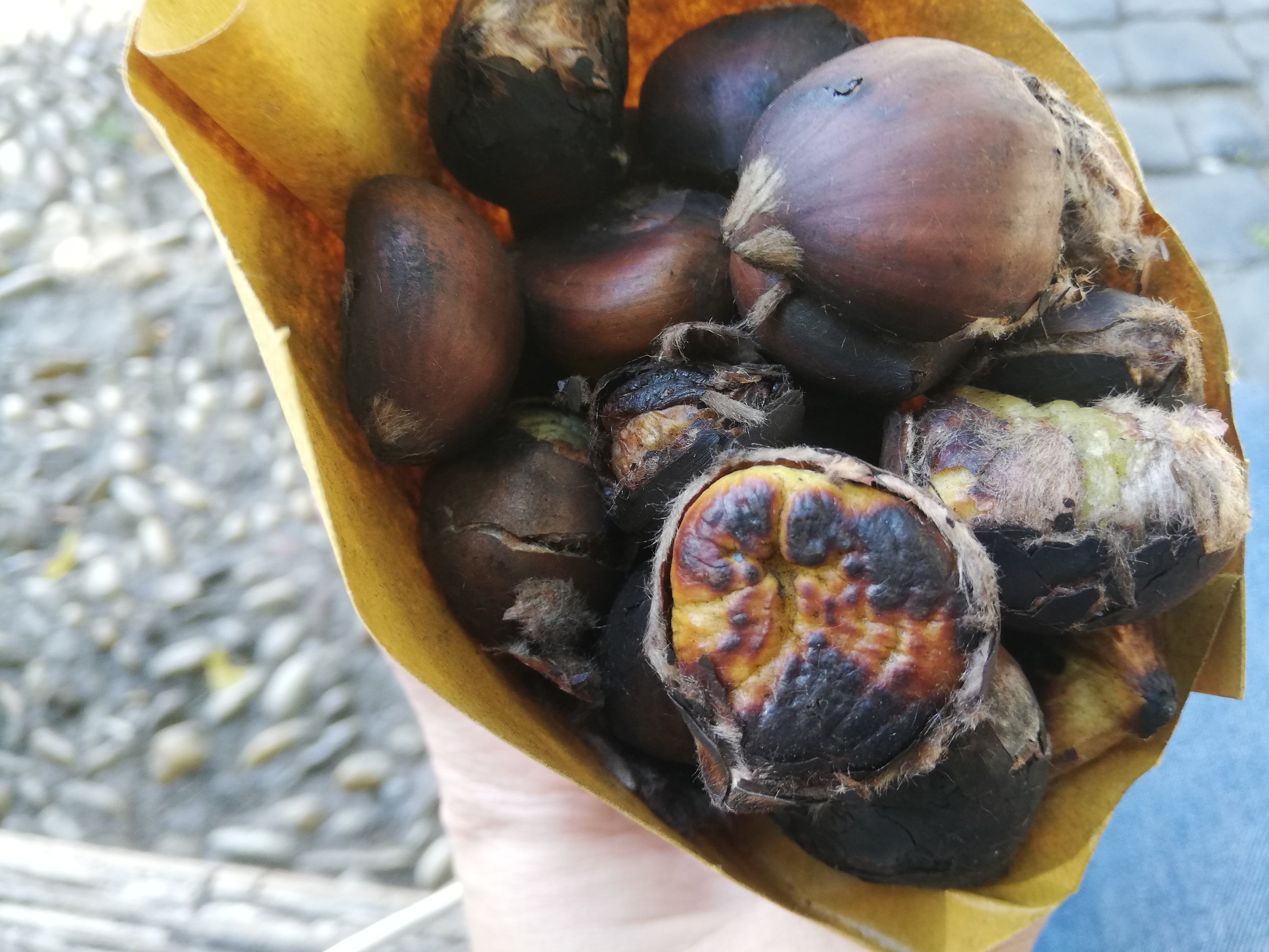 Sagra delle castagne Rocca di Papa