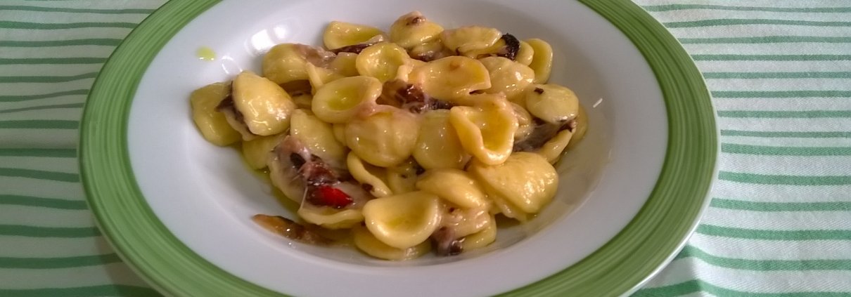 Orecchiette radicchio gorgonzola e galbanino