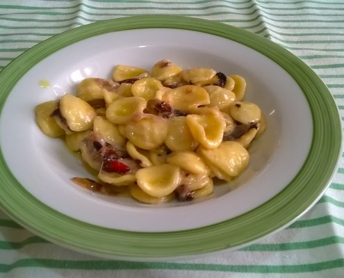 Orecchiette radicchio gorgonzola e galbanino