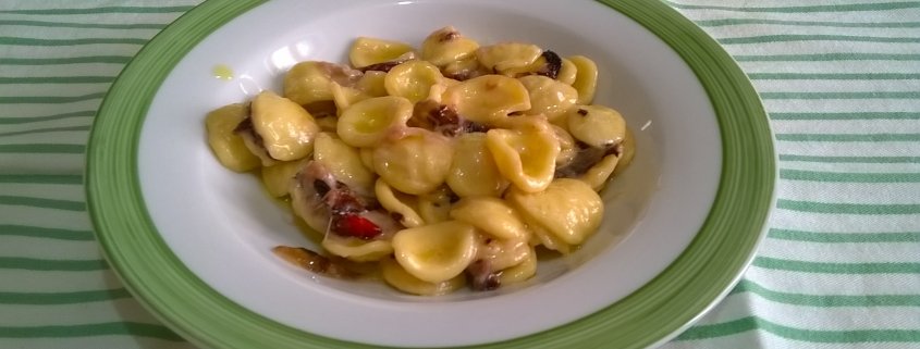 Orecchiette radicchio gorgonzola e galbanino