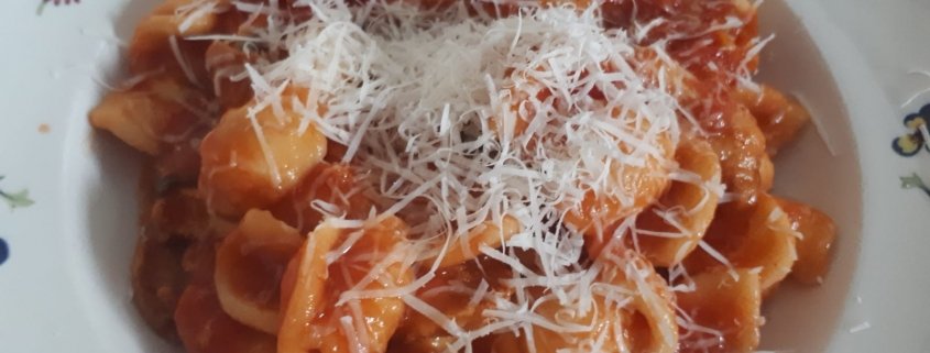 Orecchiette al sugo di funghi