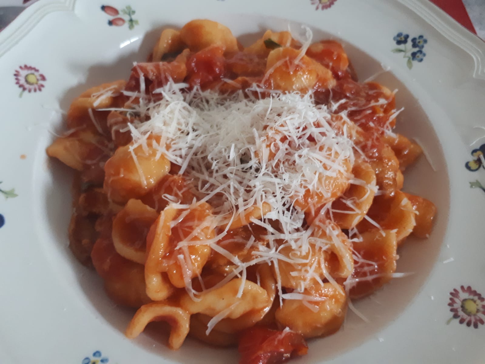 Orecchiette al sugo di funghi