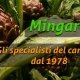 Ortofrutta Mingarelli
