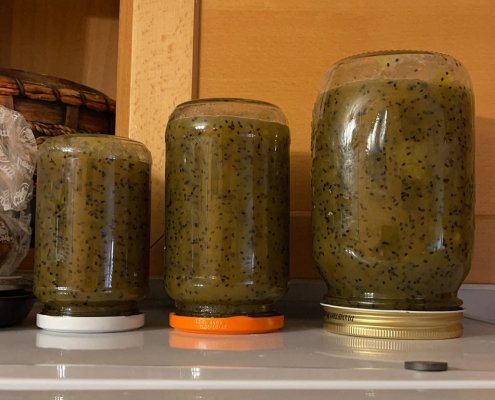 Marmellata di kiwi di Stefano