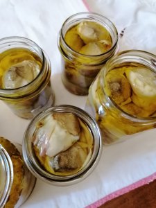 Carciofini sott'olio