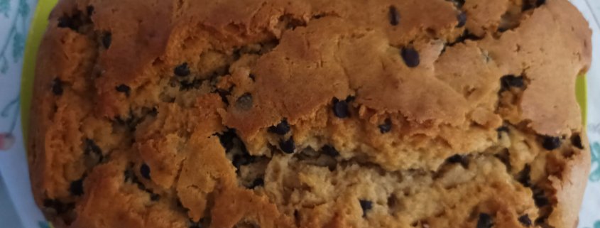 Plum cake con gocce di cioccolato di Ida